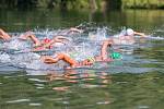 Závody v dálkovém plavání na Stříbrném jezeře v Opavě.
