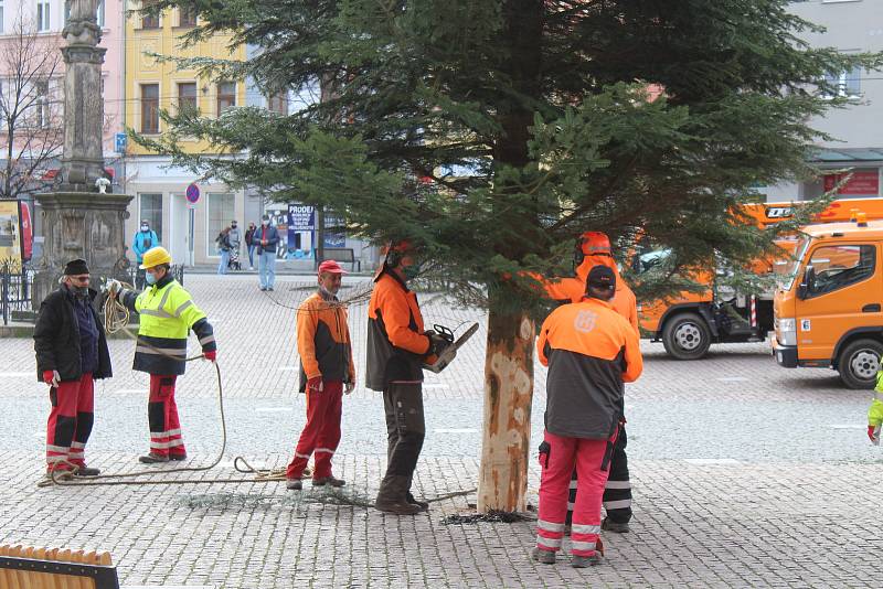 Instalace jedle obrovské na Dolním náměstí, středa 18. listopadu 2020.