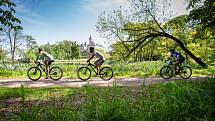 Stovky bikerů vyrazily v sobotu dopoledne z Horního náměstí na trať už 16. ročníku SILESIA bike marathonu. Čekala je cesta třeba kolem zámků v Raduni a Hradci nad Moravicí nebo podél řeky Moravice.