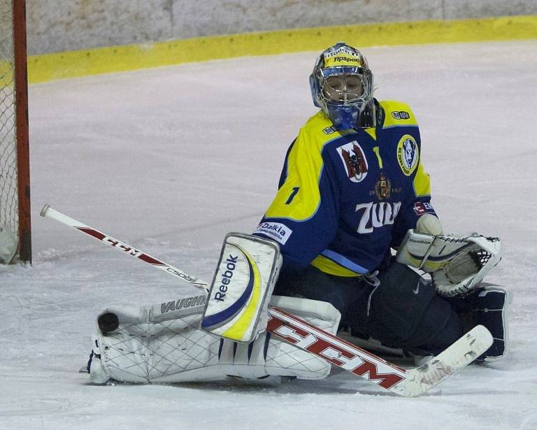 HC Slezan Opava - HC Zubr Přerov 8:4