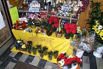 Adventní věnce už začalo prodávat také květinářství Dery v Opavě.