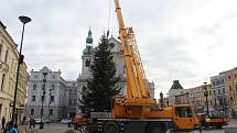 Instalace jedle obrovské na Dolním náměstí, středa 18. listopadu 2020.