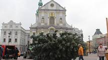Stavění vánočního stromu na Dolním náměstí v Opavě.