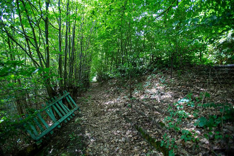 Jánské Koupele (německy Bad Johannisbrunn), dříve také Melčské lázně, jsou bývalé lázně ležící severozápadně od Vítkova v okrese Opava, v rozsáhlých lesích při řece Moravici. Celý areál byl roku 2005 zapsán do seznamu kulturních památek České republiky. P