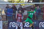 Pardubice – SFC Opava 2:1 