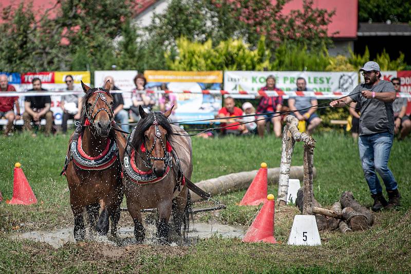 Kvalifikační závod na mistrovství ČR v kombinovaných soutěžích chladnokrevníků, 9. července 2022, Bobrovníky.