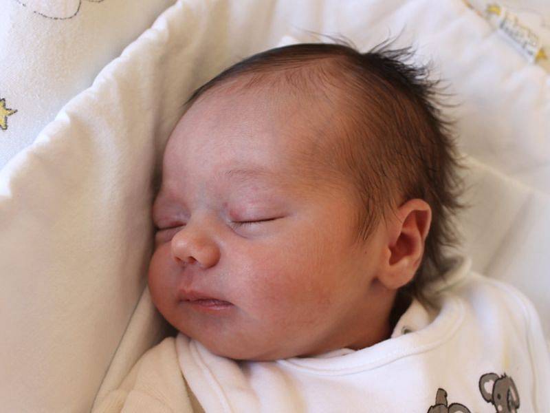 Viktorie Tůmová se narodila 2. července, vážila 3,17 kilogramů a měřila 51 centimetrů. Rodiče Tereza a Jaroslav z Opavy své prvorozené dceři přejí, aby byla v životě zdravá, šťastná a spokojená.