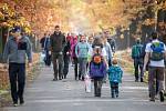 Šilheřovice, akce Sázíme lesy. lustrační foto