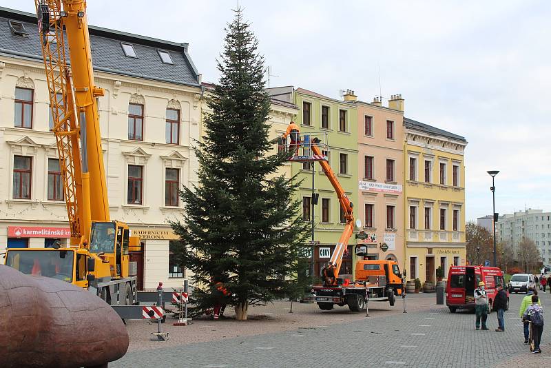 Instalace jedle obrovské na Dolním náměstí, středa 18. listopadu 2020.