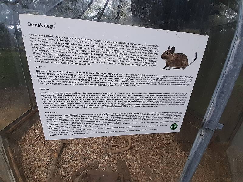 Arboretum Nový Dvůr. Expozice Osmáka degu.