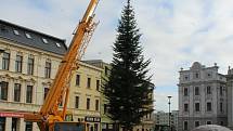 Instalace jedle obrovské na Dolním náměstí, středa 18. listopadu 2020.