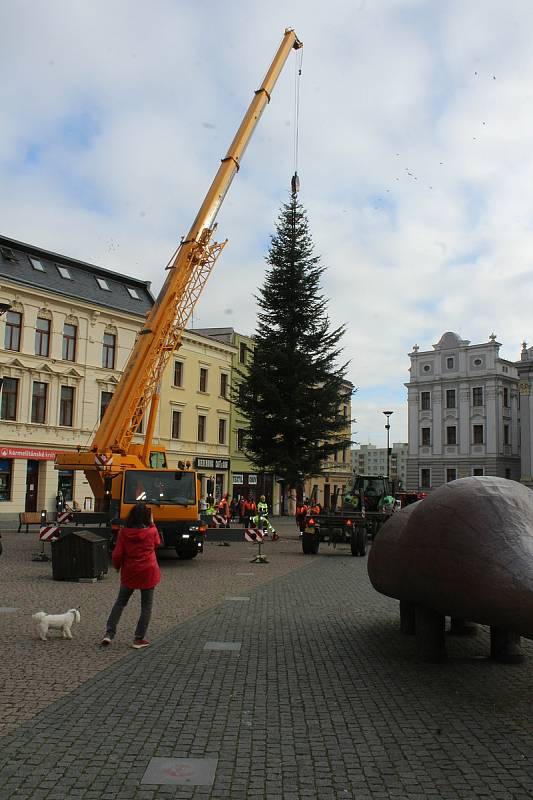 Instalace jedle obrovské na Dolním náměstí, středa 18. listopadu 2020.