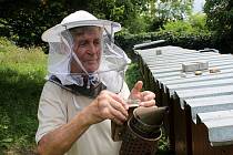 Včelaři už nemusejí úly hlásit na úřadech, ale zadávají je do veřejného registru půdy na internetu.