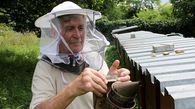 Včelaři už nemusejí úly hlásit na úřadech, ale zadávají je do veřejného registru půdy na internetu.