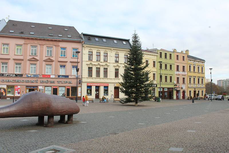 Instalace jedle obrovské na Dolním náměstí, středa 18. listopadu 2020.