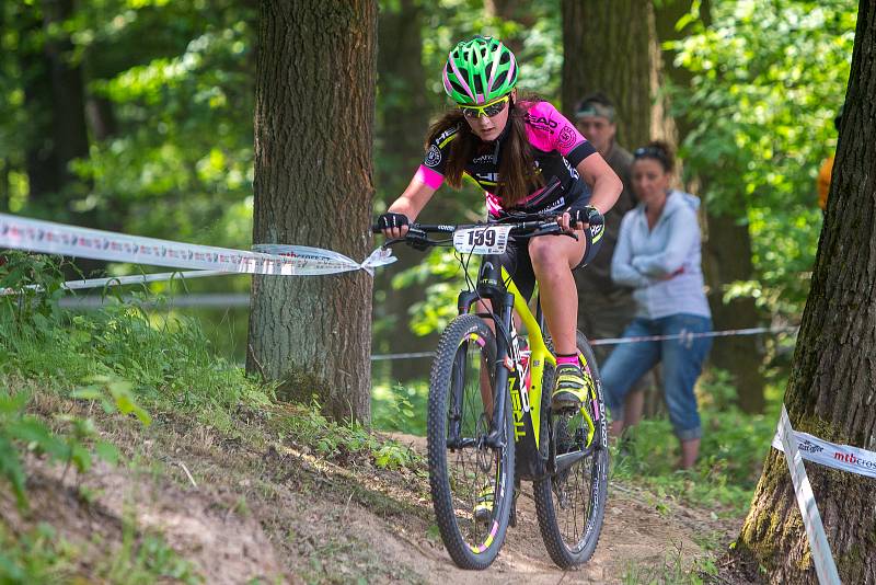 Závod na horských kolech pro širokou veřejnost od 2 let.Adrenalinová trať ve Slavkovském lesíku s překážkami.