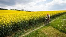 Stovky bikerů vyrazily v sobotu dopoledne z Horního náměstí na trať už 16. ročníku SILESIA bike marathonu. Čekala je cesta třeba kolem zámků v Raduni a Hradci nad Moravicí nebo podél řeky Moravice.