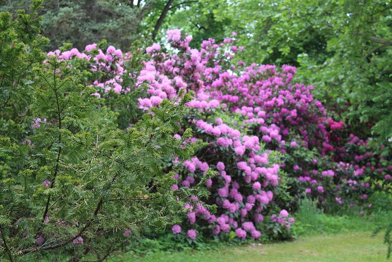 Arboretum Nový Dvůr.