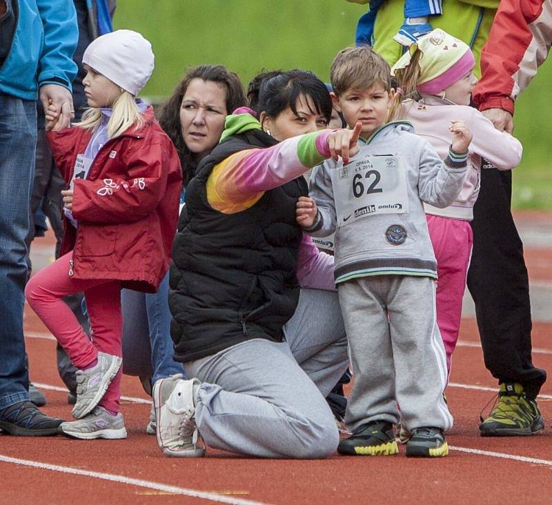 Rekordních tři sta třicet závodníků se zúčastnilo regionálního kola Čokoládové tretry v Opavě, kterou si pod svá křídla vzal opavský Slezan.