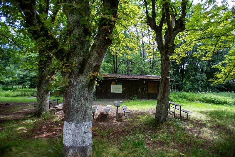 Jánské Koupele (německy Bad Johannisbrunn), dříve také Melčské lázně, jsou bývalé lázně ležící severozápadně od Vítkova v okrese Opava, v rozsáhlých lesích při řece Moravici. Celý areál byl roku 2005 zapsán do seznamu kulturních památek České republiky. P