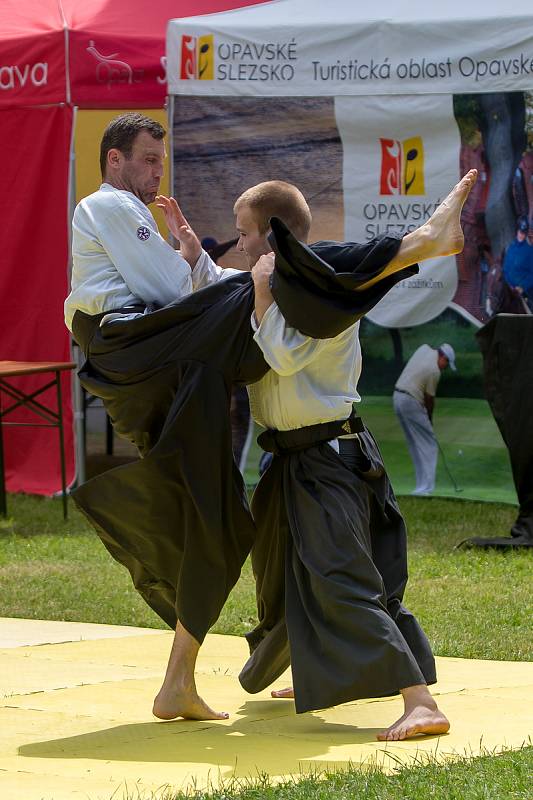 V sobotu 15. června proběhl v areálu U Hřiště sportovně kulturní festival.