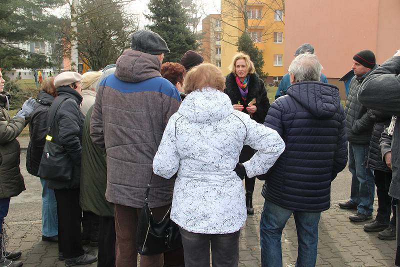 Občané Hlučína protestovali proti kácení stromů ve vnitrobloku mezi ulicemi Tyršova, Komenského a Zahradní.