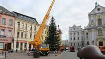 Instalace jedle obrovské na Dolním náměstí, středa 18. listopadu 2020.