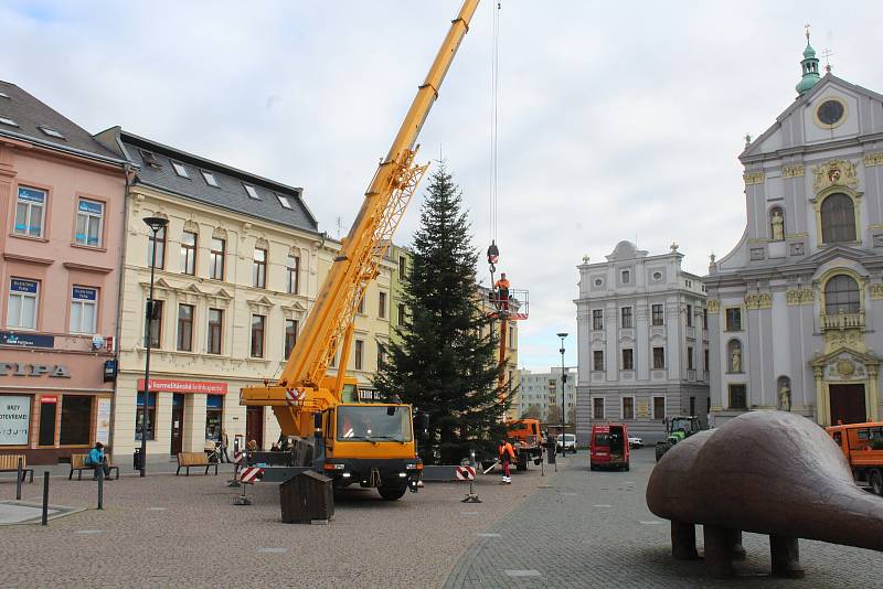 Instalace jedle obrovské na Dolním náměstí, středa 18. listopadu 2020.