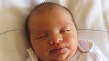 Agáta Reznerová se narodila 1. dubna, vážila 3,51 kilogramů a měřila 48 centimetrů. Rodiče Kristýna a Tomáš z Otic přejí své prvorozené dceři především zdraví a štěstí.