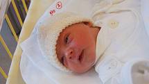 Martina Lasáková se narodila 19. dubna, vážila 2,90 kg a měřila 48 cm. „Je to naše první miminko. Přejeme jí hodně zdraví, štěstí, a ať se má dobře,“ uvedla maminka Denisa Hollá a tatínek Petr Lasák z Opavy.
