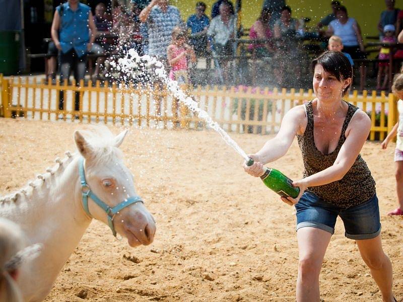 Už osmým ročníkem pokračovalo v obci oblíbené křtění v daném roce narozených hříbat Hřebčína HF. Součástí byl poté již popáté i Memoriál Lojzy Fialy ve vozatajských pony parkúrech.