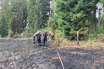 Zásah u požáru lesních školek v Kozmicích na Hlučínsku, 4. července 2023.