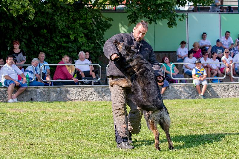 18. ročník Sportovních her tělesně postižených v Hrabyni – Memoriál Vladimíra Plačka