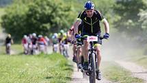 Stovky bikerů vyrazily v sobotu dopoledne z Horního náměstí na trať už 16. ročníku SILESIA bike marathonu. Čekala je cesta třeba kolem zámků v Raduni a Hradci nad Moravicí nebo podél řeky Moravice.