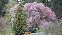 Arboretum Nový Dvůr.