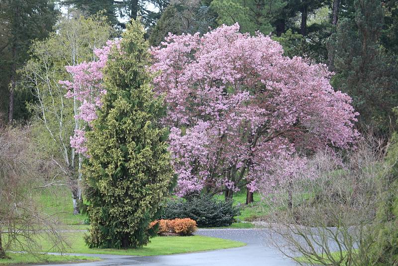 Arboretum Nový Dvůr.