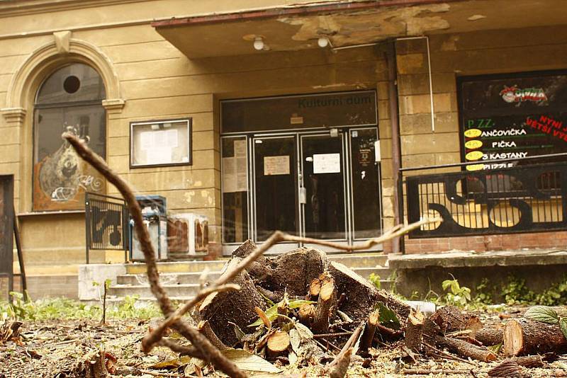 Kvůli rekonstrukci opavského kulturního domu Na Rybníčku už padlo pár keřů. Strom naštěstí zmizel jen jeden.