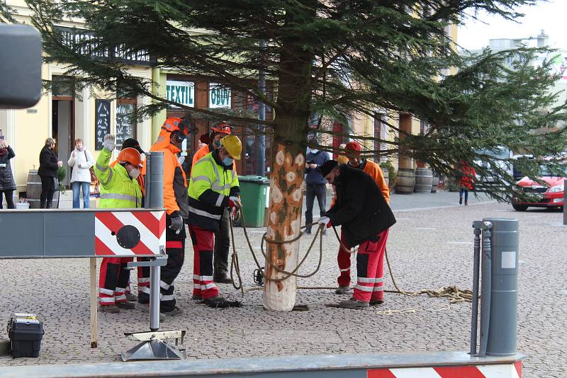 Instalace jedle obrovské na Dolním náměstí, středa 18. listopadu 2020.