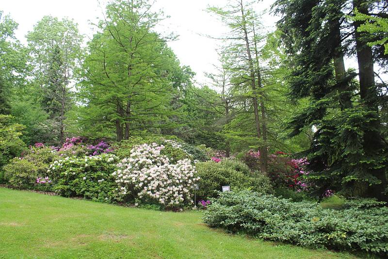 Arboretum Nový Dvůr.