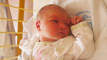 Tereza Kremserová se narodila 29. července, vážila 3,81 kg a měřila 51 cm. Rodiče Martina a Petr ze Stěbořic přejí svému prvnímu miminku „hlavně štěstí a zdraví“.