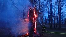 V Šilheřovickém parku hořely dva stromy.