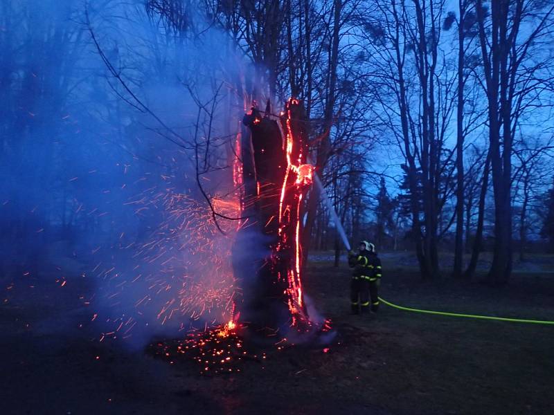 V Šilheřovickém parku hořely dva stromy.