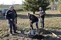V pondělí 25. října proběhla v Chlebičově při příležitosti oslavy Dne stromů komunitní výsadba ovocných sadů.