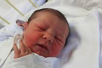 Lea Fousková se narodila 19. prosince 2018, vážila 3,72 kilogramu a měřila 52 centimetrů. Rodiče Eliška a Jakub z Úbla přejí své prvorozené dceři do života zdraví a štěstí.
