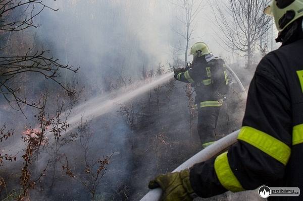 Hned devět hasičských jednotek muselo v neděli večer vyrazit do Těškovic. V blízkosti této obce totiž hořela lesní plocha o rozměrech zhruba 150x200 metrů.