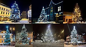Koláž, vánoční stromky, Opavsko, rok 2023.