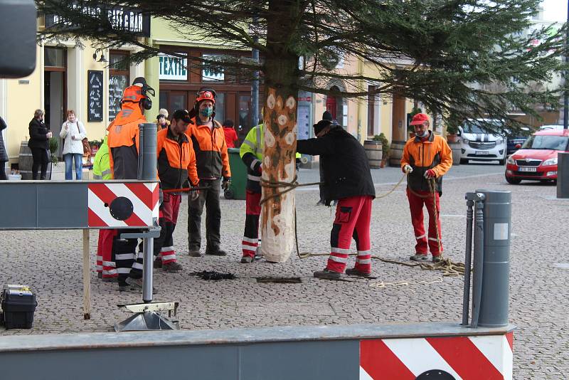 Instalace jedle obrovské na Dolním náměstí, středa 18. listopadu 2020.