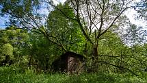 Jánské Koupele (německy Bad Johannisbrunn), dříve také Melčské lázně, jsou bývalé lázně ležící severozápadně od Vítkova v okrese Opava, v rozsáhlých lesích při řece Moravici. Celý areál byl roku 2005 zapsán do seznamu kulturních památek České republiky. P