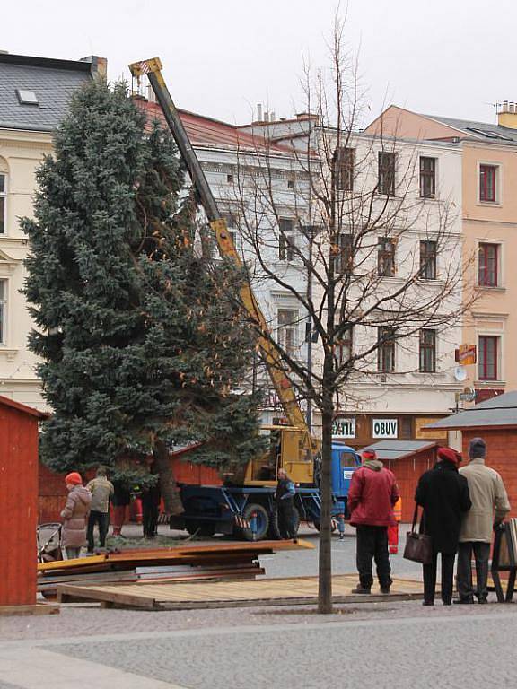 V pondělí po desáté hodině ranní začali zaměstnanci technických služeb vztyčovat na Dolním náměstí v Opavě vánoční strom.