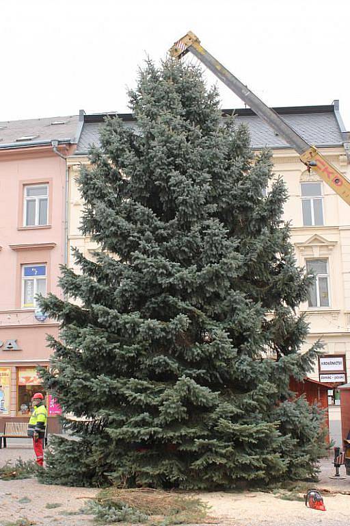 V pondělí po desáté hodině ranní začali zaměstnanci technických služeb vztyčovat na Dolním náměstí v Opavě vánoční strom.
